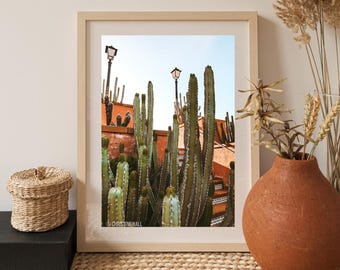 Tenerife Cactus Photography Print: Southwestern Desert Landscape Wall Art