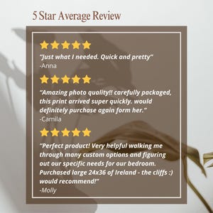 May include: Five star reviews for a print shop. The reviews highlight the quality of the prints, the speed of shipping, and the helpfulness of the shop owner. The reviews are displayed on a brown background with a leafy green plant in the background.