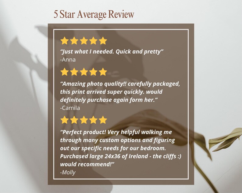 May include: Five star reviews for a print shop. The reviews highlight the quality of the prints, the speed of shipping, and the helpfulness of the shop owner. The reviews are displayed on a brown background with a leafy green plant in the background.