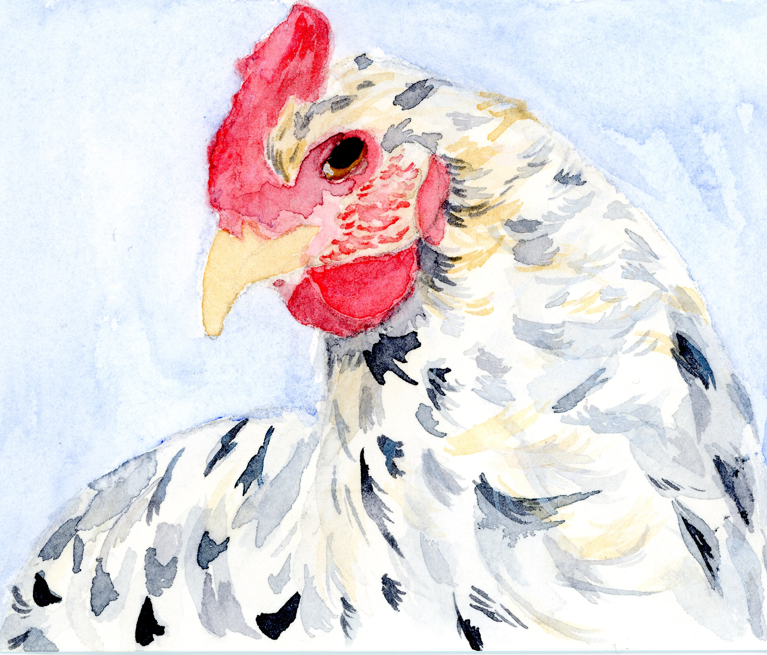 Custom Watercolor Pet Portrait | Etsy