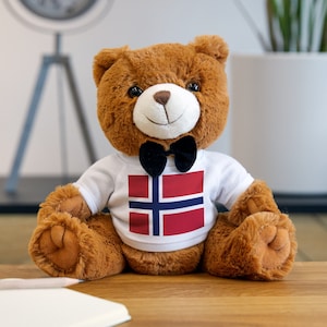 Norwegian Pride Teddy Bear Norway Toy Norwegian Stuffed Animal May 17th Toy Norwegian Toy Syttende Mai Toy Norway Gift for Kid