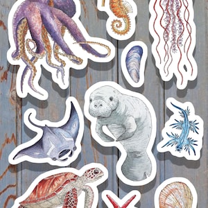 10 cute sea life stickers