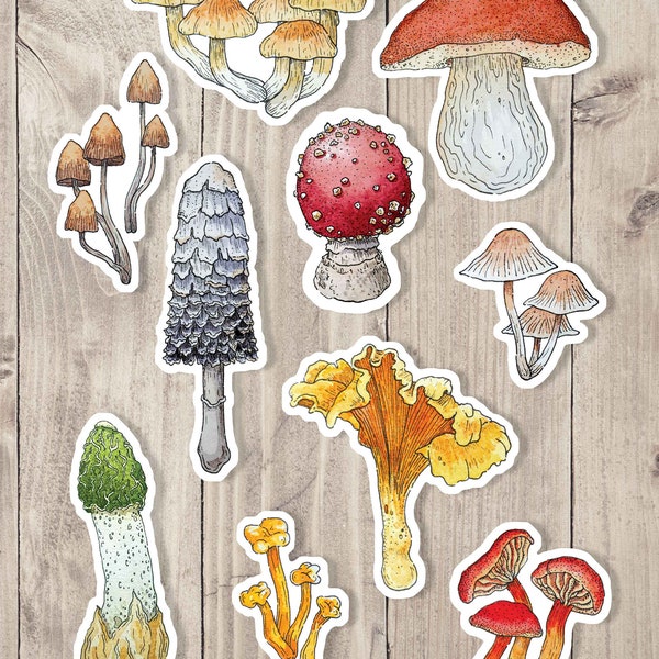 British Mushrooms - Stickers