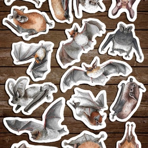British Bats Stickers