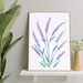 see more listings in the Botanical Prints section