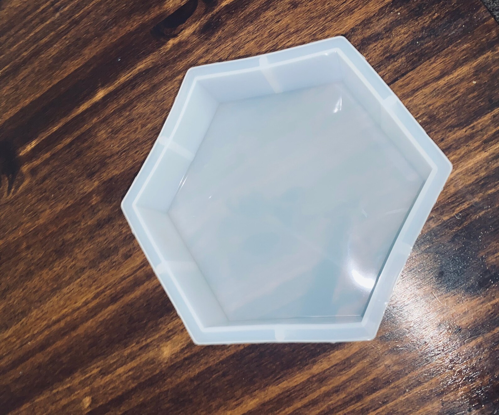 Large Hexagon Silicone Mold for Resin Flower Specimen Etsy