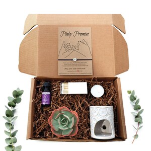 Best Friend Gift for Friend, Natural Succulents,  Pinky Promise Gift Box, Succulent Gift Box, Soy Candle or Oil Gift Box Compass Bracelet