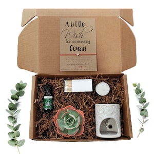 Cousin Gifts, Succulent Gift Box, Cousin Gift Box, Gift for Cousin, Care Package Oil Warmer Gift Box Natural Succulents Heart Bracelet