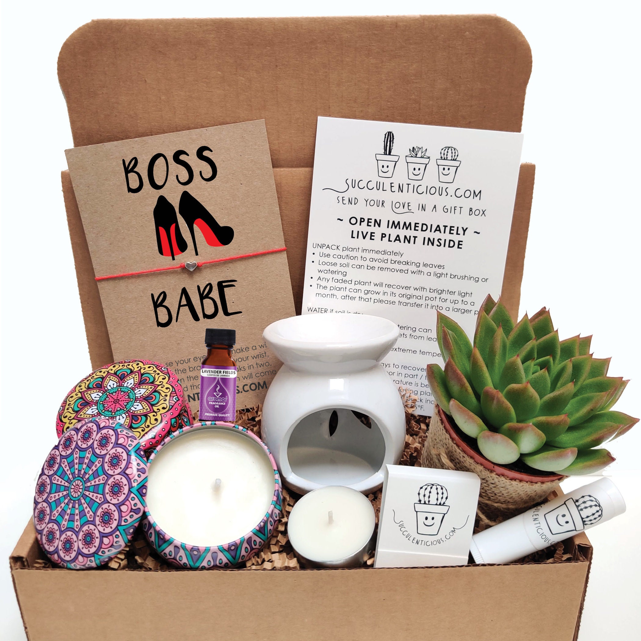 Boss Day Gift Basket, Bosses Day Gift For Women, Self Care Package, Bo –  Plant Box Co