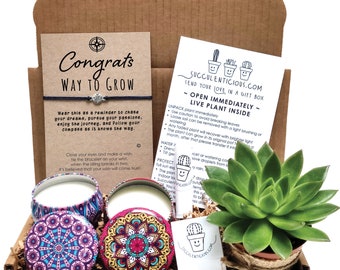 Congratulations Gift, New Job Gift Promotion Gift Box Succulent Gift Box, Job Promotion Gift Soy Candle or Oil Gift for Her Compass Bracelet