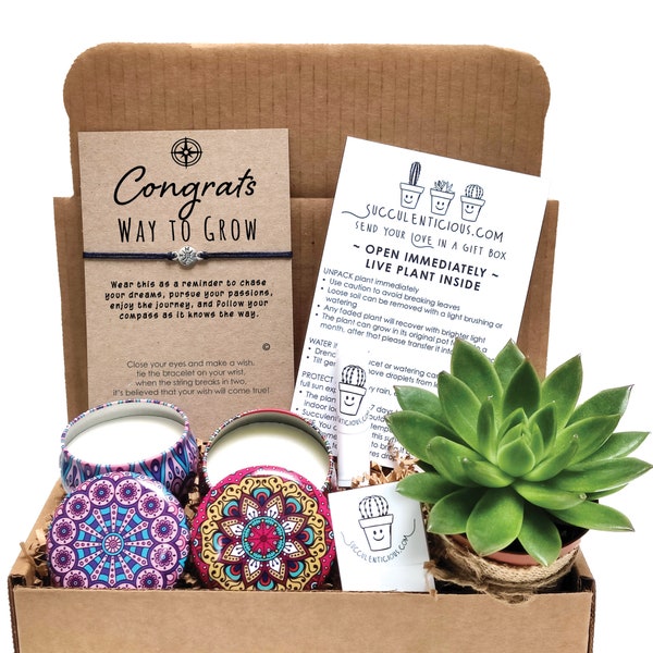 Congratulations Gift, New Job Gift Promotion Gift Box Succulent Gift Box, Job Promotion Gift Soy Candle or Oil Gift for Her Compass Bracelet