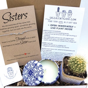 Sister Gift, Sister Gift Box, Succulent Gift Box, Gift for Sister Birthday Gift, Sister Care Package, Succulent Gift, Branch Bracelet Chain