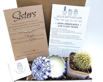 Sister Gift, Sister Gift Box, Succulent Gift Box, Gift for Sister Birthday Gift, Sister Care Package, Succulent Gift, Branch Bracelet Chain