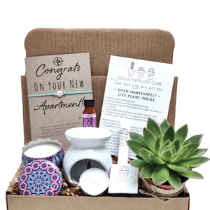 New Apartment Gift, Housewarming Gift For Him, New Apartment Gift Basket Congrats Care Package Succulent Gift Box Oil Gift Box Compass