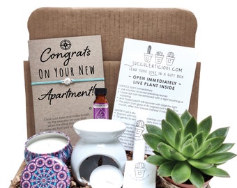 New Apartment Gift, Housewarming Gift For Him, New Apartment Gift Basket Congrats Care Package Succulent Gift Box Oil Gift Box Compass