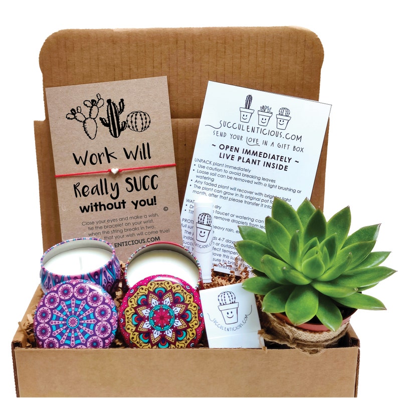 Peut inclure: Une bo&icirc;te en carton marron contenant une plante succulente, deux petites bougies avec des motifs de mandala et un bracelet en corde rouge avec un charme en forme de c&oelig;ur blanc. La bo&icirc;te comprend une carte avec le texte "Work Will Really SUCC without you!" et une carte avec des instructions pour prendre soin de la plante succulente.
