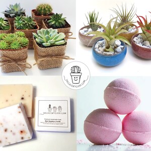 Op de afbeelding: Een assortiment van kleine potplanten met vetplanten en luchtplanten in verschillende kleuren en texturen. De vetplanten staan in potten die met jute zijn omwikkeld, terwijl de luchtplanten in keramische potten staan. Er zijn ook badbommen en handgemaakte zeepjes.
