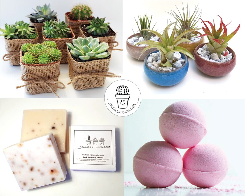 Op de afbeelding: Een assortiment van kleine potplanten met vetplanten en luchtplanten in verschillende kleuren en texturen. De vetplanten staan in potten die met jute zijn omwikkeld, terwijl de luchtplanten in keramische potten staan. Er zijn ook badbommen en handgemaakte zeepjes.