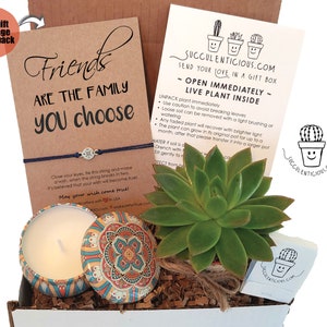 May include: A gift box with a succulent plant, a candle, and a friendship bracelet. The box is decorated with a brown paper and a tag that says "Friends are the family you choose".