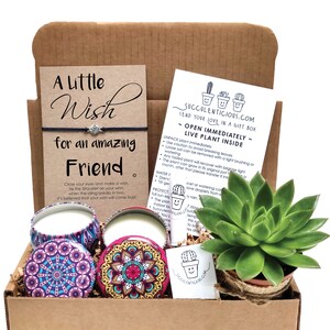 Best Friend Gift Box for Friend Succulent Gift Box for Friend, Friend Birthday Gift Succulent Box Gift for Her, Friend Care Package Compass