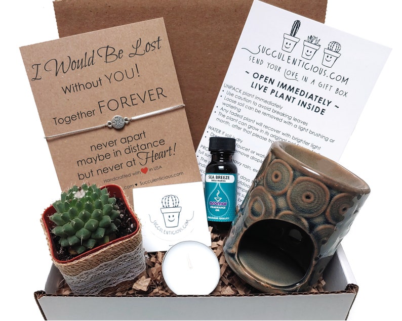 Quarantine Gift Box Best Friend Gift Succulent Gift Box Air Etsy