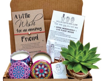 Friend Gifts, Friend Succulent Gift Box, Personalized Friend Gift for Friend Birthday Gift, Friend Care Package Oil Gift Box Candle Gift Box