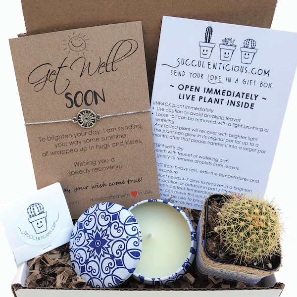 Get Well Soon Gift Box, Get Well Gift. Succulent Gift Box, Get Well Card Care Package, Sending you a hug Gift, Succulents Sun Bracelet Chain