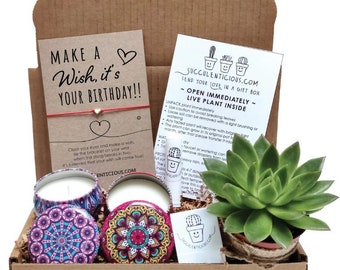 Birthday Gift Box for Her Birthday Gift, Succulent Gift Box, Birthday Care Package, Happy Birthday Gift, Self Care Package for Her Birthday