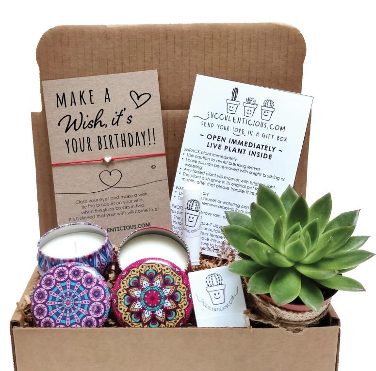 Birthday Gift Box for Her Birthday Gift, Succulent Gift Box, Birthday Care Package, Happy Birthday Gift, Self Care Package for Her Birthday