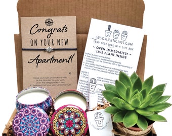 Congratulations New Apartment Gift, Housewarming Gift For Him, New Apartment Gift Basket, Succulent Gift Box, Oil Gift Box Compass Bracelet