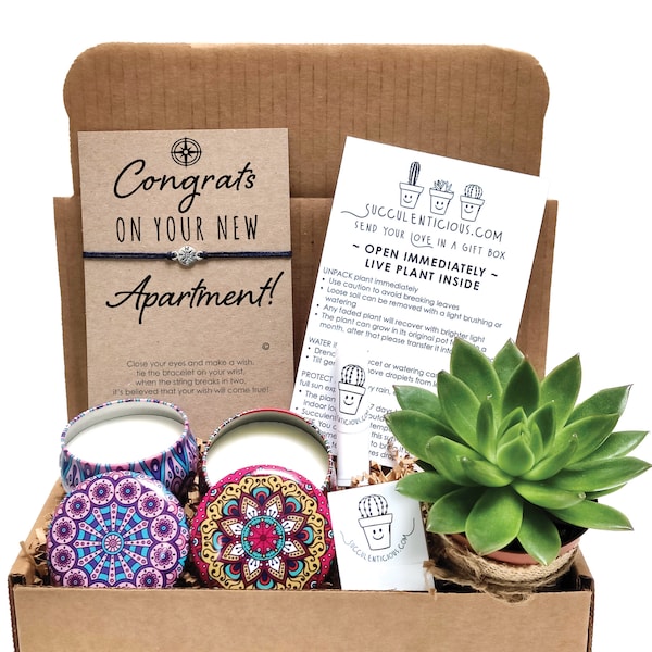 Congratulations New Apartment Gift, Housewarming Gift For Him, New Apartment Gift Basket, Succulent Gift Box, Oil Gift Box Compass Bracelet