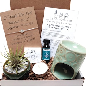 Air Plant Gift Box, Care package, Quarantine Gift Box for Friend, Succulent Gift Box, Cactus Plant, Soy Candle or Oil Gift Box Compass Chain