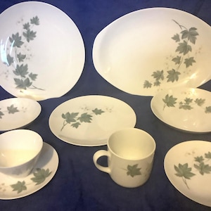 Noritake Wild Ivy Cook N Serve Pattern 102