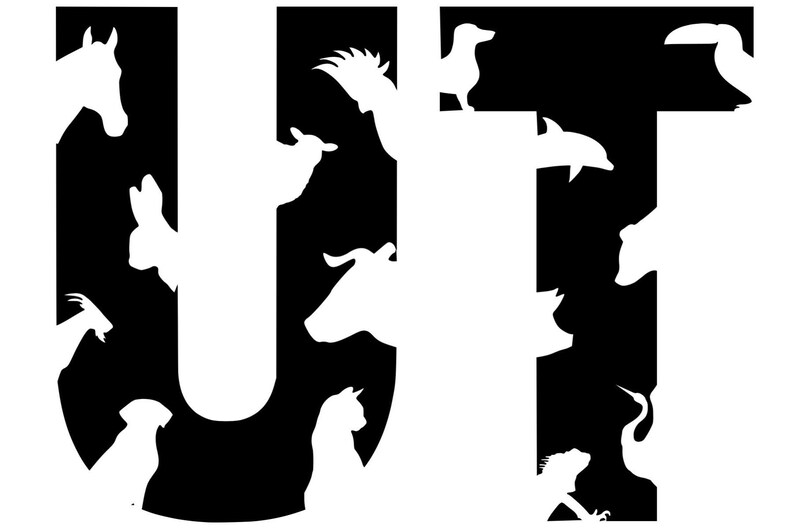 Veterinary School Letter Animal Decal Custom Letter Vet Etsy