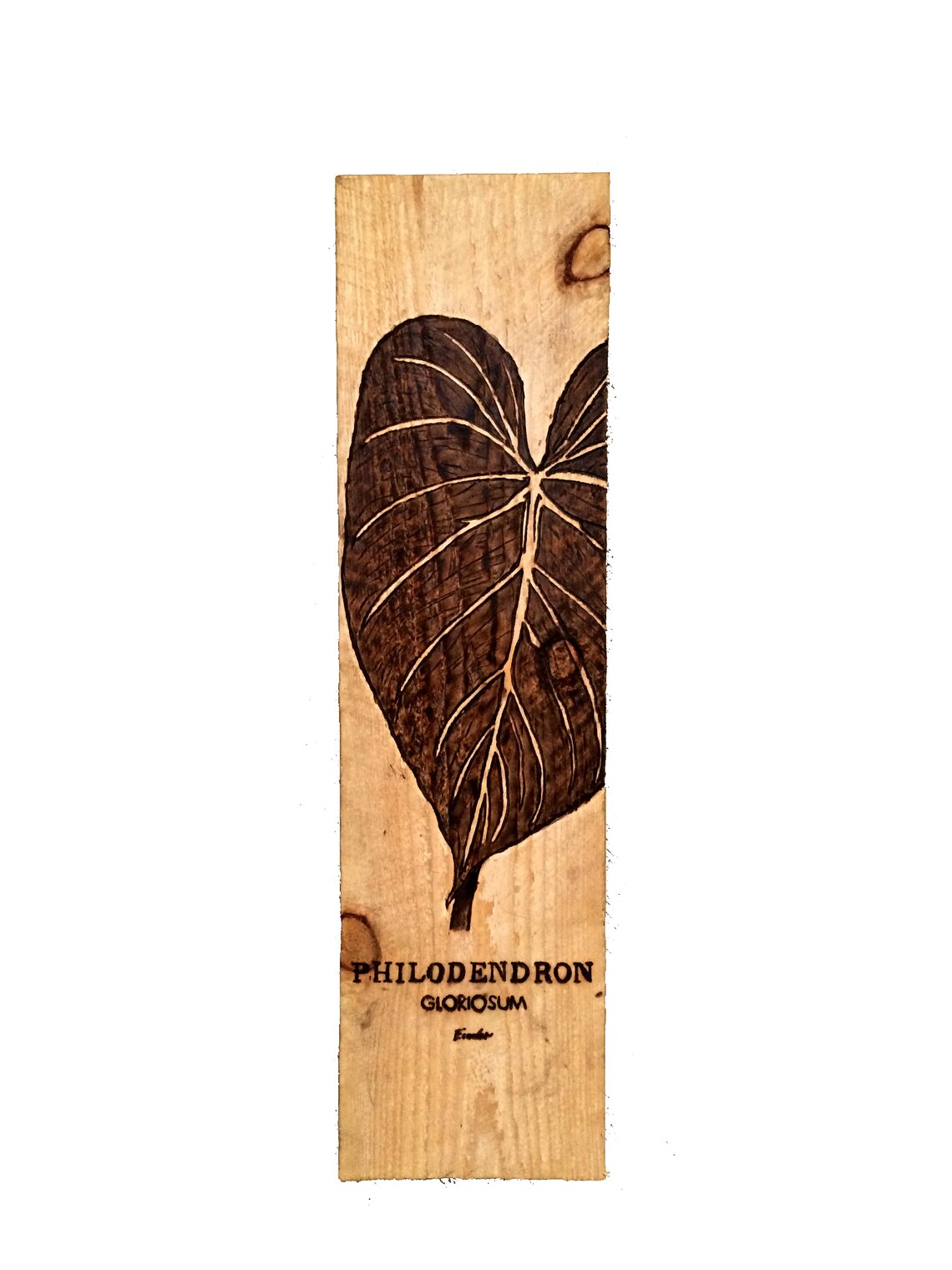 Pyrography Philodendron Gloriosum on Cedar Wood Burned Image Etsy