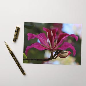 Belle carte de voeux fleur fuchsia