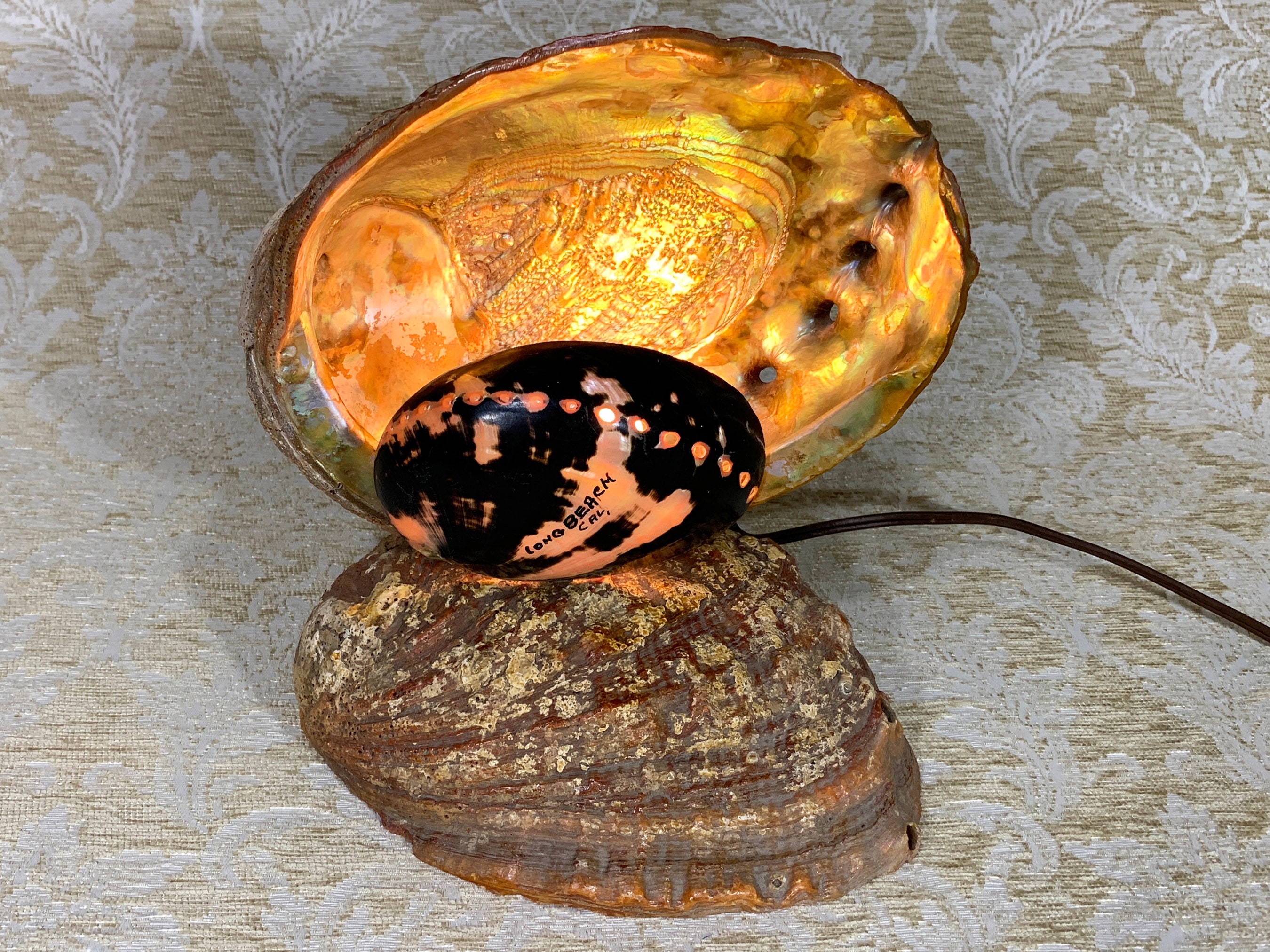Abalone on sale shell lamp