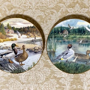 May include: Two decorative plates with gold rims, each featuring a detailed painting of ducks in a natural setting. One plate shows ducks near a stream with a house in the background, the other shows ducks near a lake.