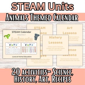 Könnte beinhalten: Lehrmaterialien mit dem Titel "STEAM Units ANIMALS THEMED CALENDAR". Das Material umfasst einen Kalender, Unterrichtspläne und Rezepte. Der Kalender trägt die Aufschrift "STEAM Calendar Volume 3 Animals". Es deckt Wissenschaft, Geschichte, Kunst und Rezepte ab.
