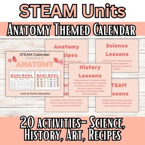 Może przedstawiać: Kalendarz o tematyce anatomii z tekstem "STEAM Units" i "20 Activities - Science, History, Art, Recipes". Zawiera lekcje z anatomii, nauk przyrodniczych, historii i sztuki. Zawiera kalendarz z ilustracjami anatomicznymi i przepisami.