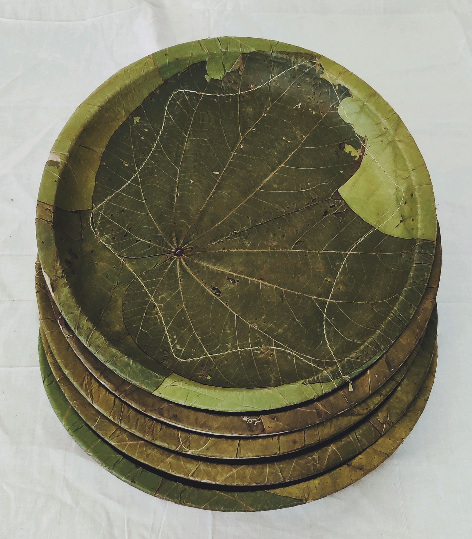 Disposable Siali leaves biodegradable plate 12 inch and 8 Etsy
