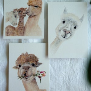 Conjunto de 3 alpacas | Cartão Postal | Pressão