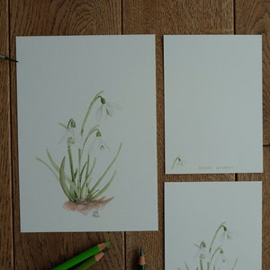 Schneeglöckchen Aquarell I Kartenset