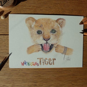 Set di carte Tigre dai denti sciolti I