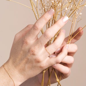 K&ouml;nnte beinhalten: Die H&auml;nde einer Person halten einen Strau&szlig; getrockneter Baby's Breath. Die Person tr&auml;gt ein zartes goldenes Kettenarmband und einen d&uuml;nnen goldenen Ring an ihrem Finger.