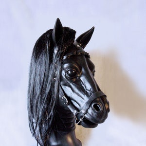 黒い馬の頭部マスク 晴れた日に保護用のフライマスクを着用した黒馬の頭の上の接写。馬の