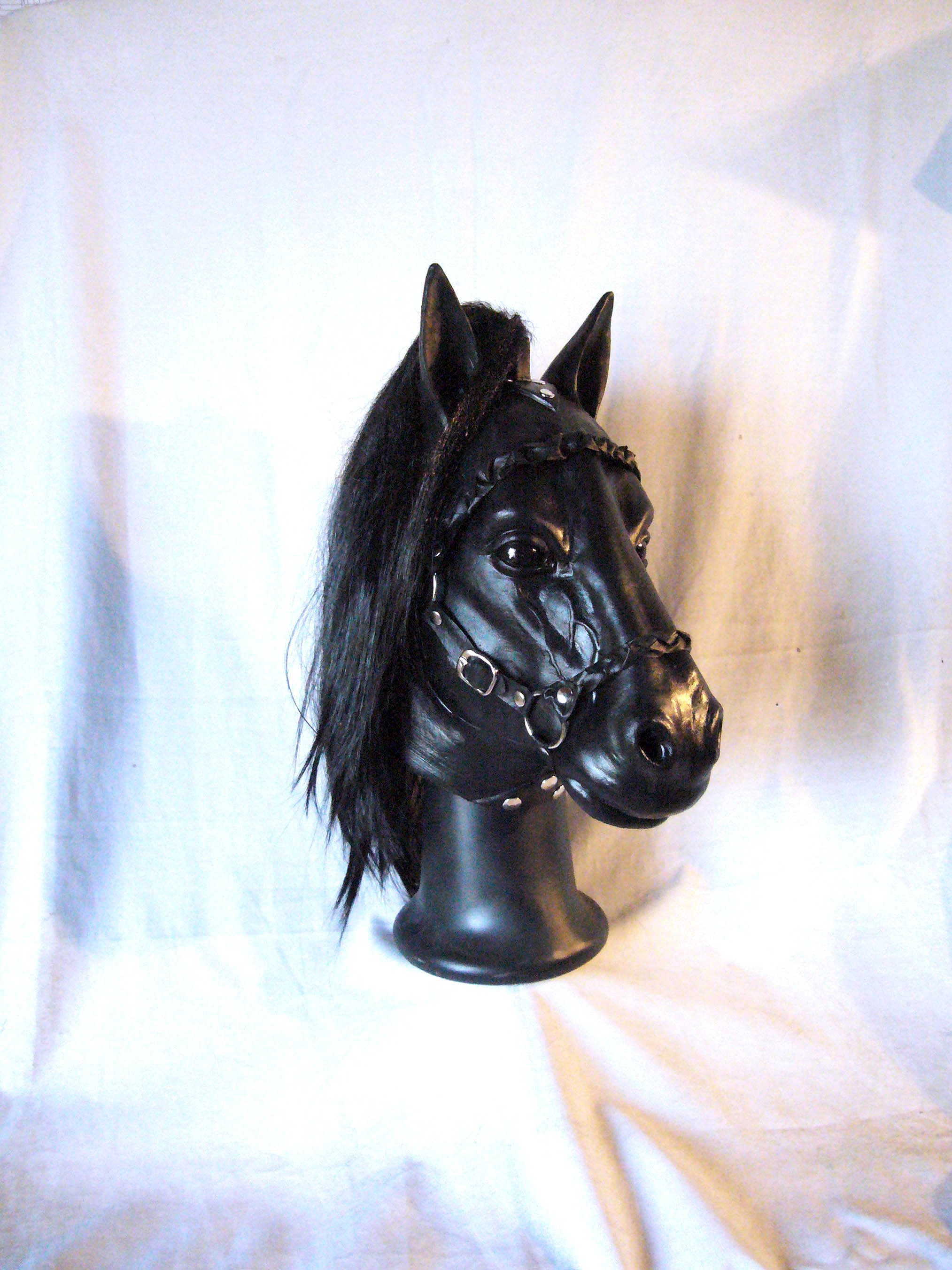 Horse Blinkers for sale Only 4 left at 60