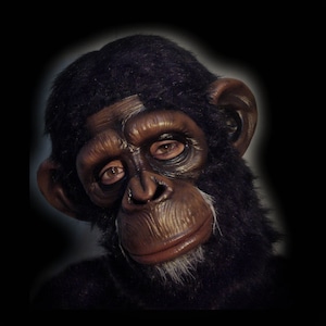 Chimp latex Mask, planet of the Apes, Primate mask, Chimpanzee, Monkey Costume