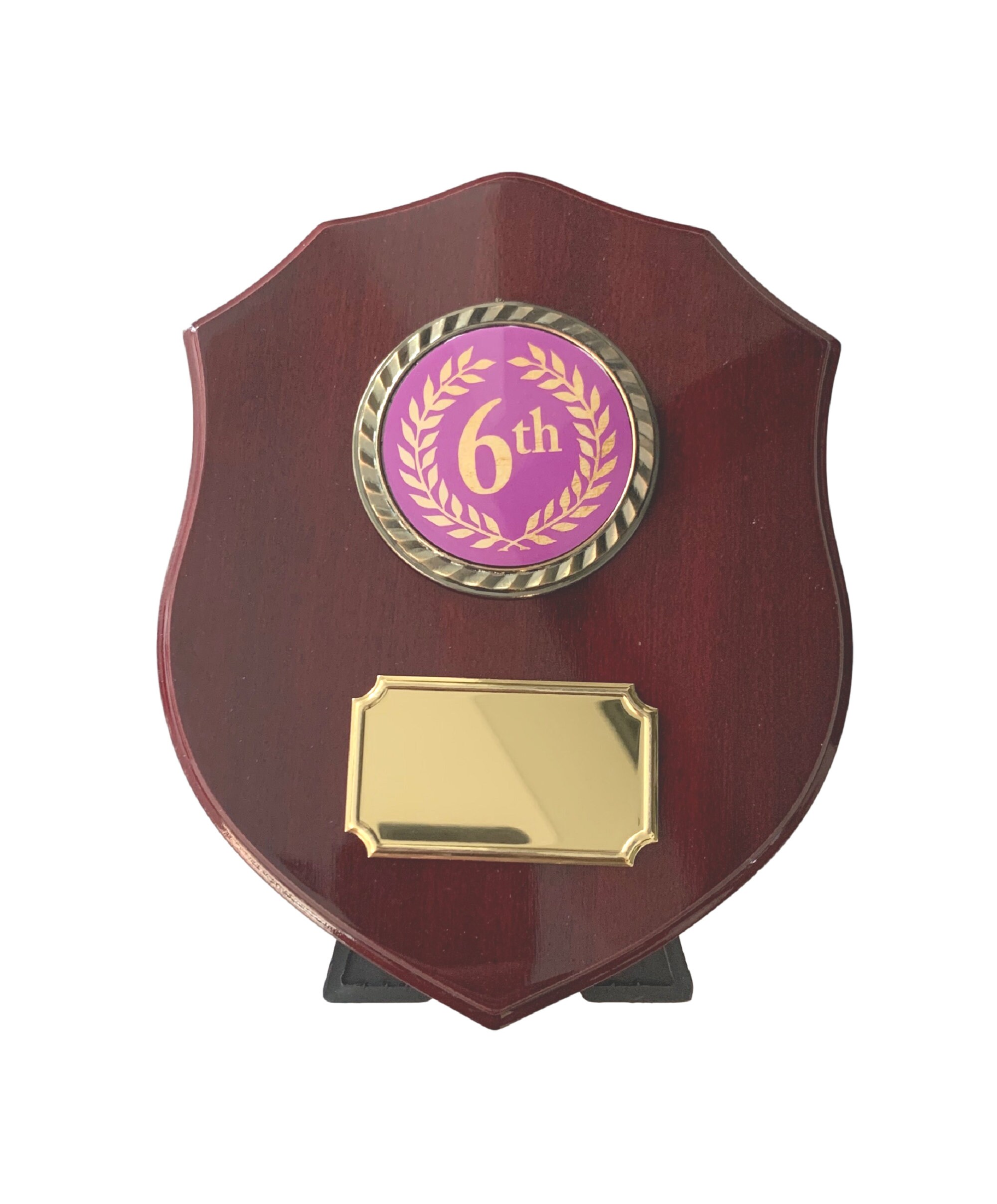 Large Premium 6th Place Sports Award Shield 180 mm T | Etsy