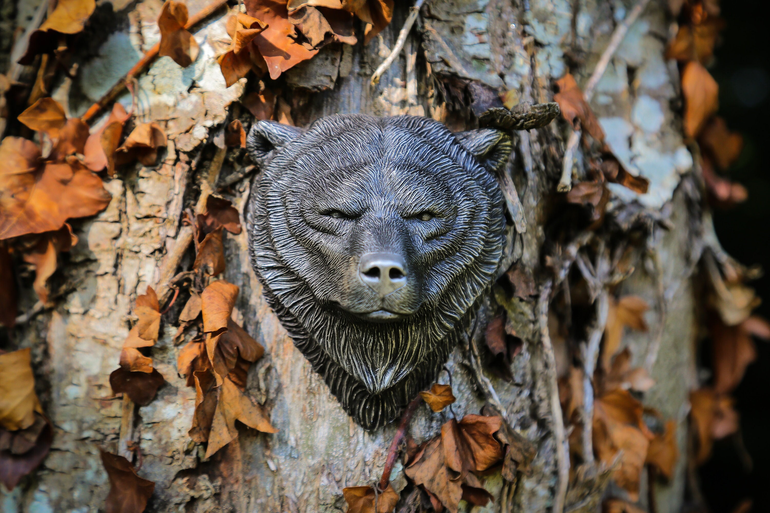 Sculpture Murale Tête d'ours